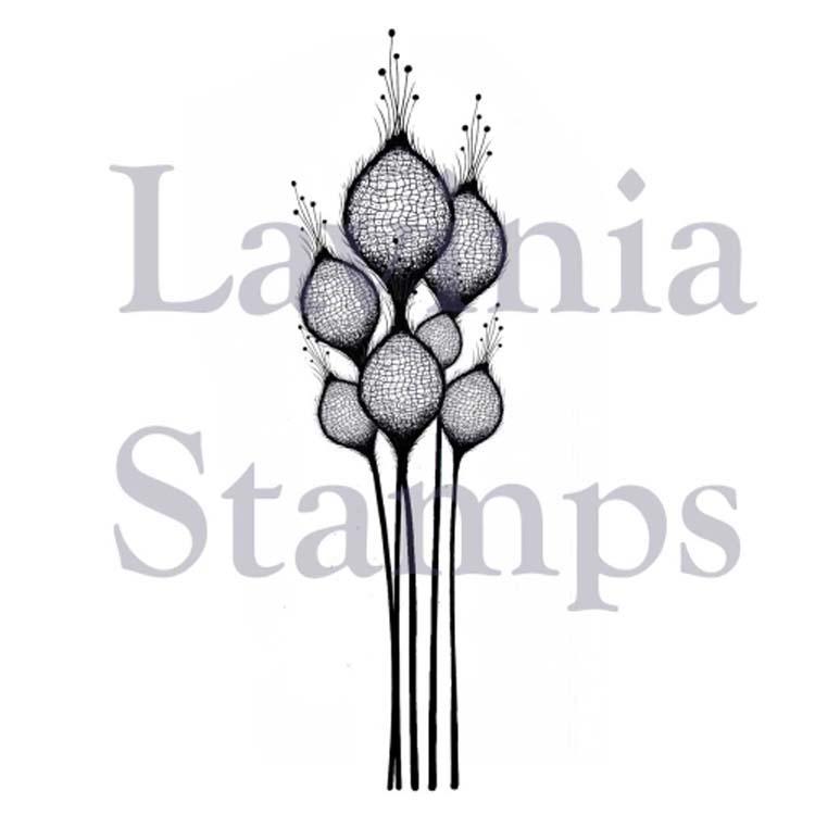 Lavinia Stamps - Fairy Thistles-1
