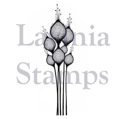 Lavinia Stamps - Fairy Thistles-1