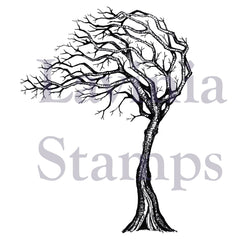 Lavinia Stamp - Seasonal Tree-1