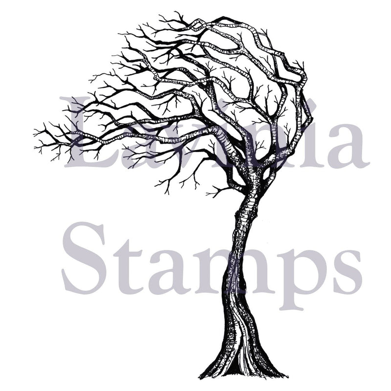 Lavinia Stamp - Seasonal Tree-1