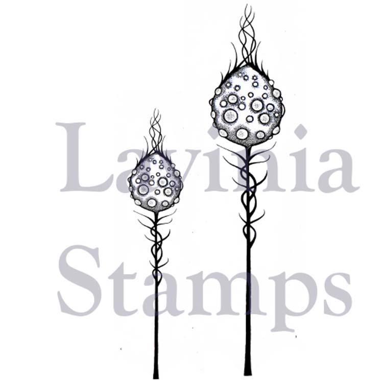 Lavinia Stamp - Moon Pods-1
