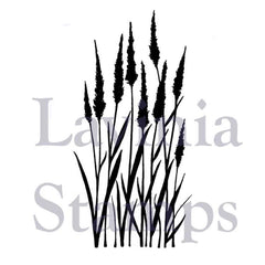 Lavinia Stamp - Meadow Grass-1