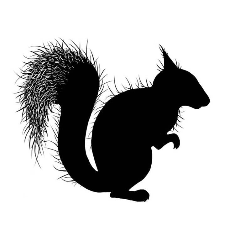 Lavinia Stamp - Red Squirrel-1