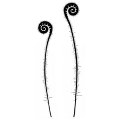 Lavinia Stamp - Fern Heads-1