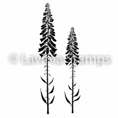 Lavinia Stamp - Foxglove-1