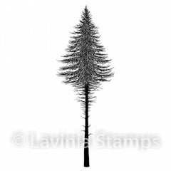 Lavinia Stamp - Fairy Fir Tree 2 (Small)-1