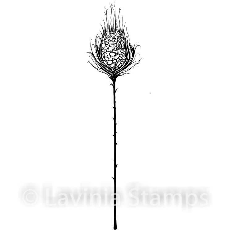 Lavinia Stamp - Starburst-1