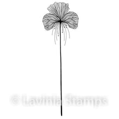 Lavinia Stamp - Single Fairy Orchid-1