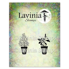 Dill & Sage Pots Stamp-1