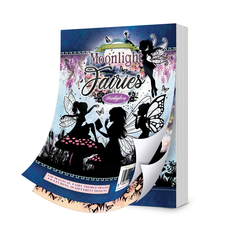 The Little Book Of Moonlight Fairies-1