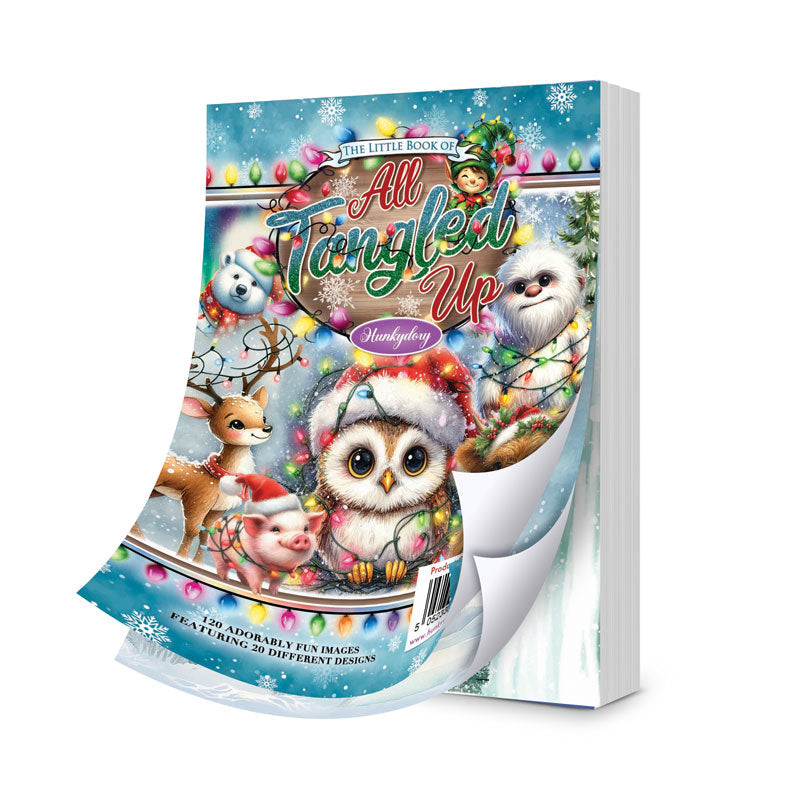 The Little Book of All Tangled Up-1