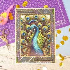 The Little Book of Peacocks-11