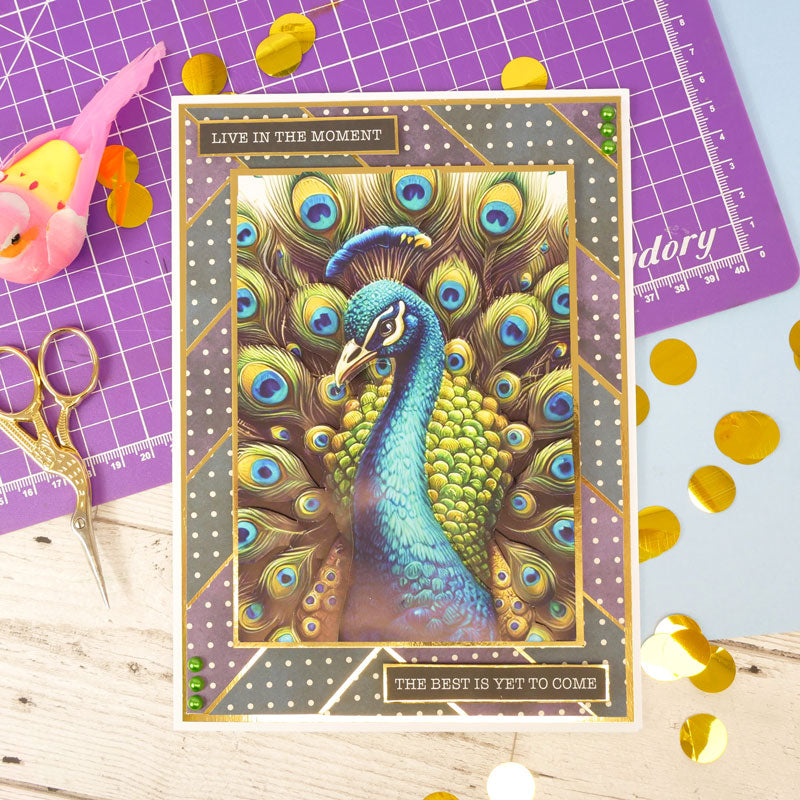 The Little Book of Peacocks-11