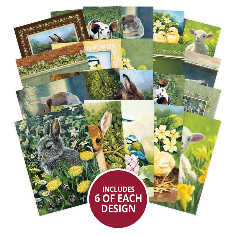 El pequeño libro del campo-2