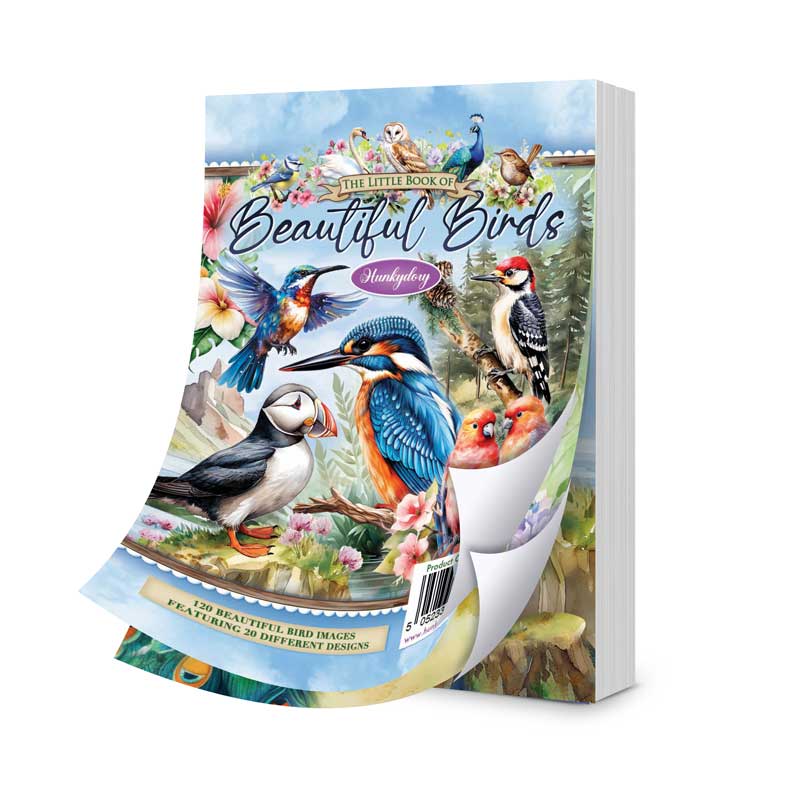 Le petit livre des beaux oiseaux-1