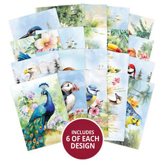 Le petit livre des beaux oiseaux-2