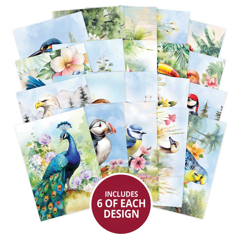 Le petit livre des beaux oiseaux-2