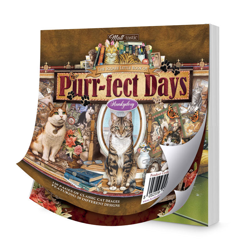 El pequeño libro cuadrado de días perfectos-1