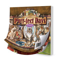 El pequeño libro cuadrado de días perfectos-1