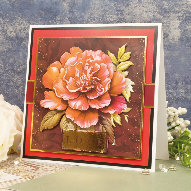 The Square Little Book of Eternal Blooms-4