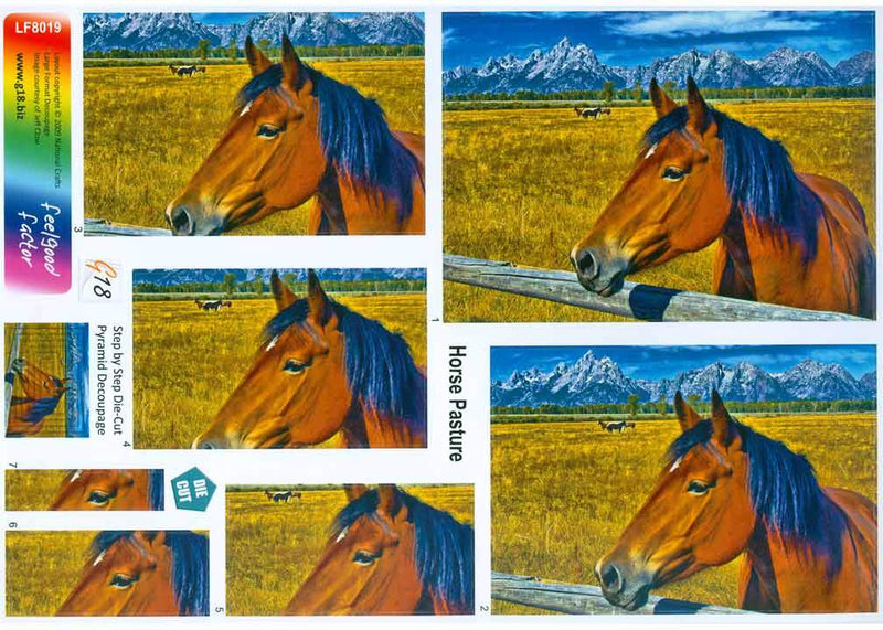 Large Format - Horse Pasture-1
