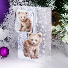 Snow Adorable Luxury Foiled Acetate-2