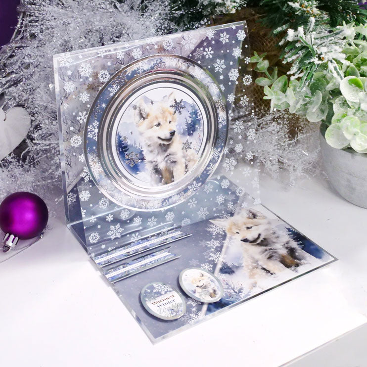 Snow Adorable Luxury Foiled Acetate-3