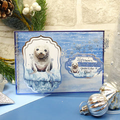 Snow Adorable Luxury Foiled Acetate-4