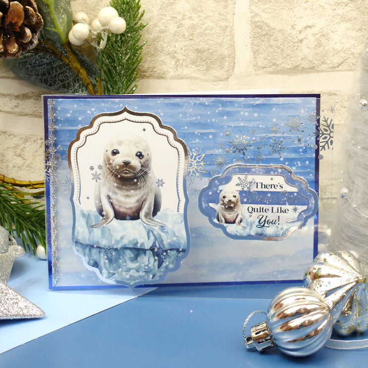 Snow Adorable Luxury Foiled Acetate-4