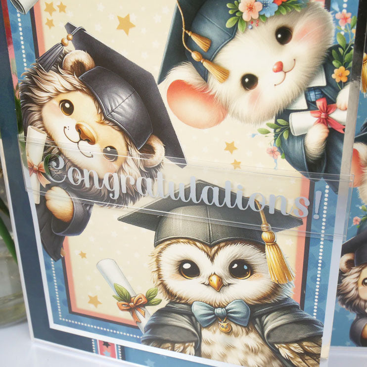 Luxury Foiled Acetate Card Wraps-4