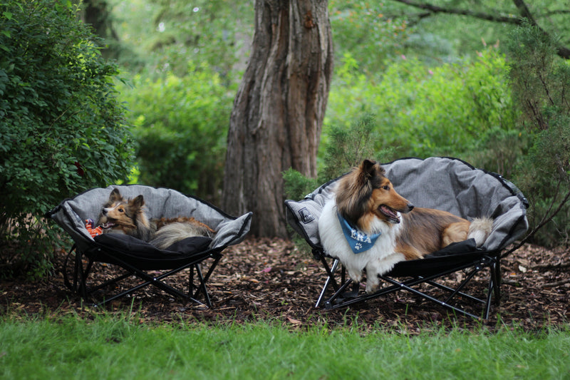 Kuma Little  Lazy Bear Dog Bed-6