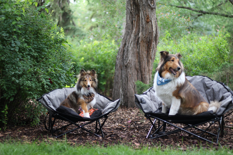 Kuma Little  Lazy Bear Dog Bed-8