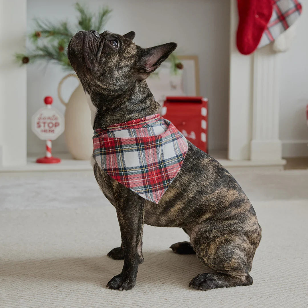 Dog Bandana | Red Tartan Plaid | Petit Lem-2