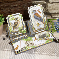 Selección de cartulinas mate Adorable Scorable con temática de aves botánicas-2