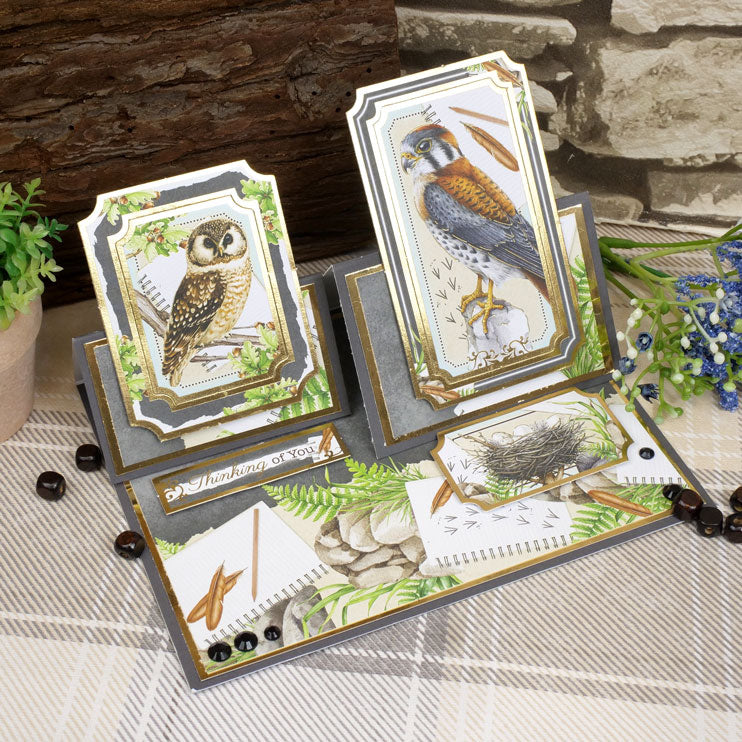 Selección de cartulinas mate Adorable Scorable con temática de aves botánicas-2