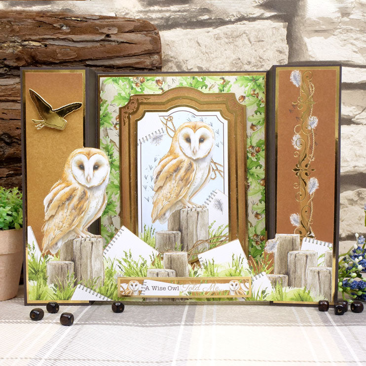 Selección de cartulinas mate Adorable Scorable con temática de aves botánicas-3