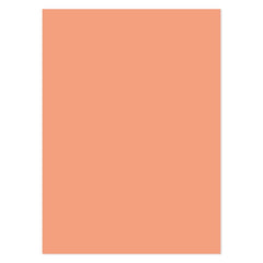 Matt-tastic Adorable Scorable A4 Cardstock x 10 Sheets-1