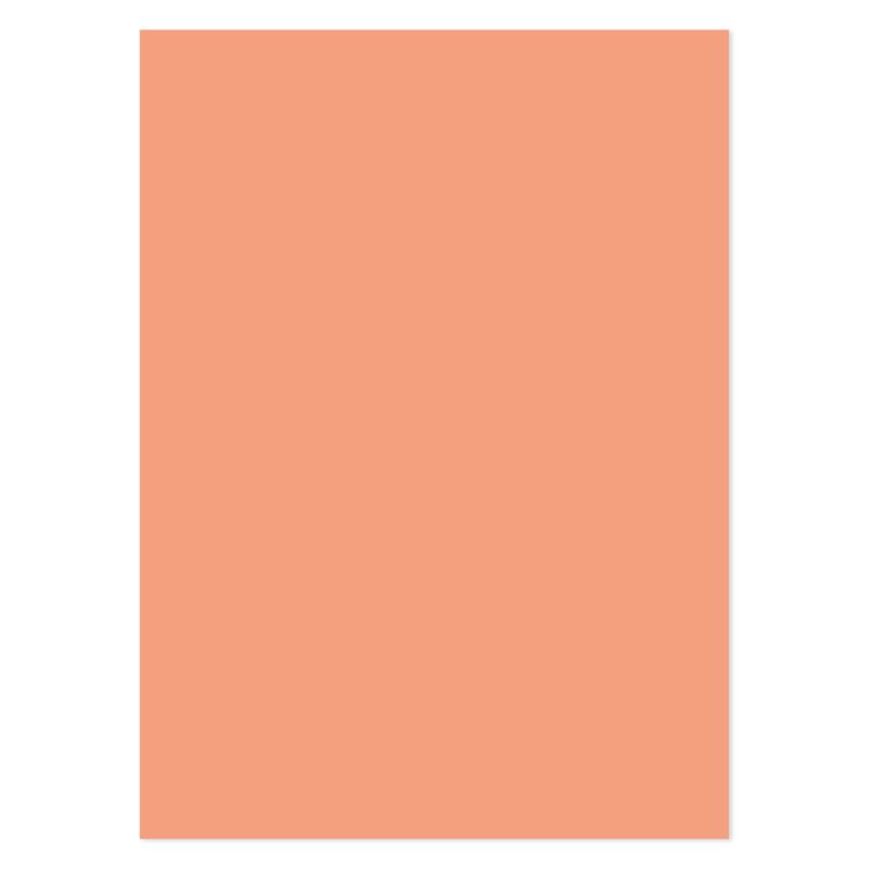 Matt-tastic Adorable Scorable A4 Cardstock x 10 Sheets-1