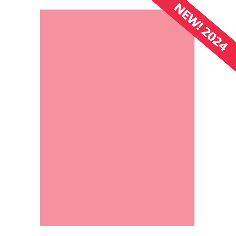Matt-tastic Adorable Scorable A4 Cardstock x 10 Sheets-25