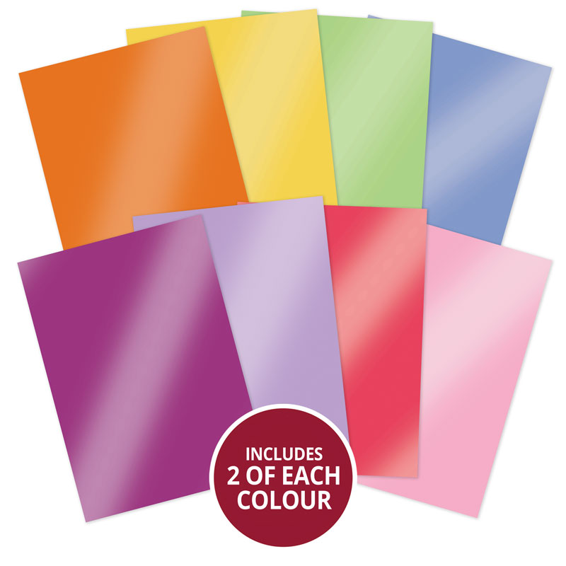 In Full Bloom - Floral Delights Mirri Selection-1