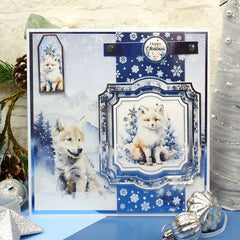 Snow Adorable Mirri Selection-2