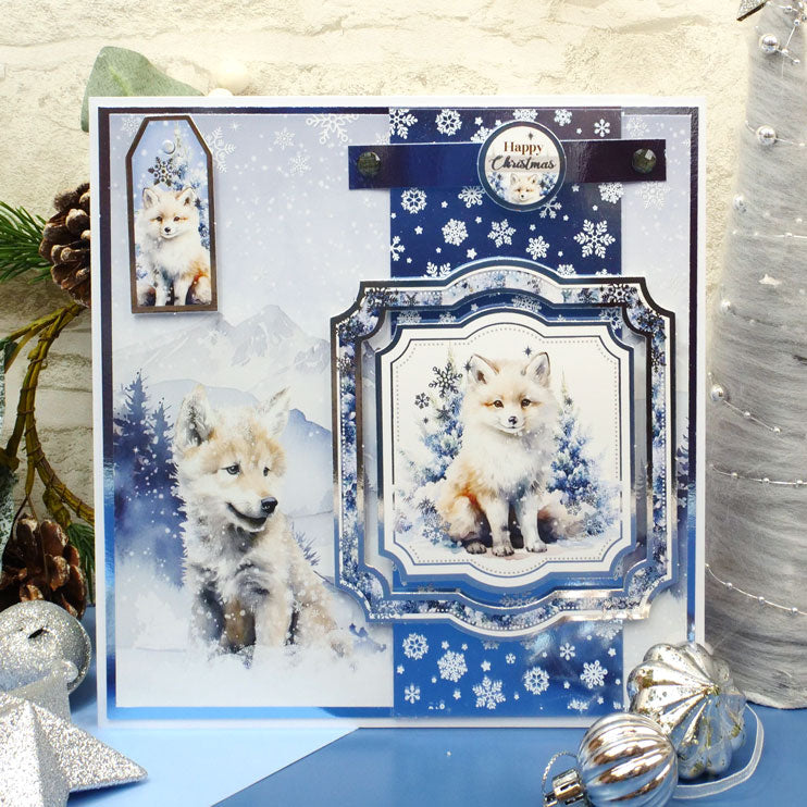 Snow Adorable Mirri Selection-2