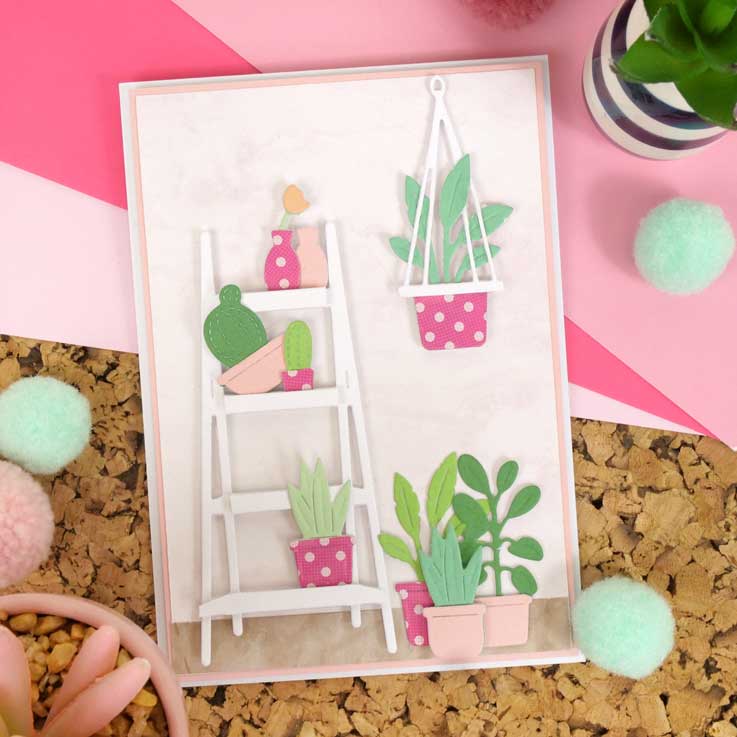 Moonstone Dies - Gorgeous Indoor Garden-5