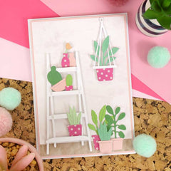 Moonstone Dies - Gorgeous Indoor Garden-5