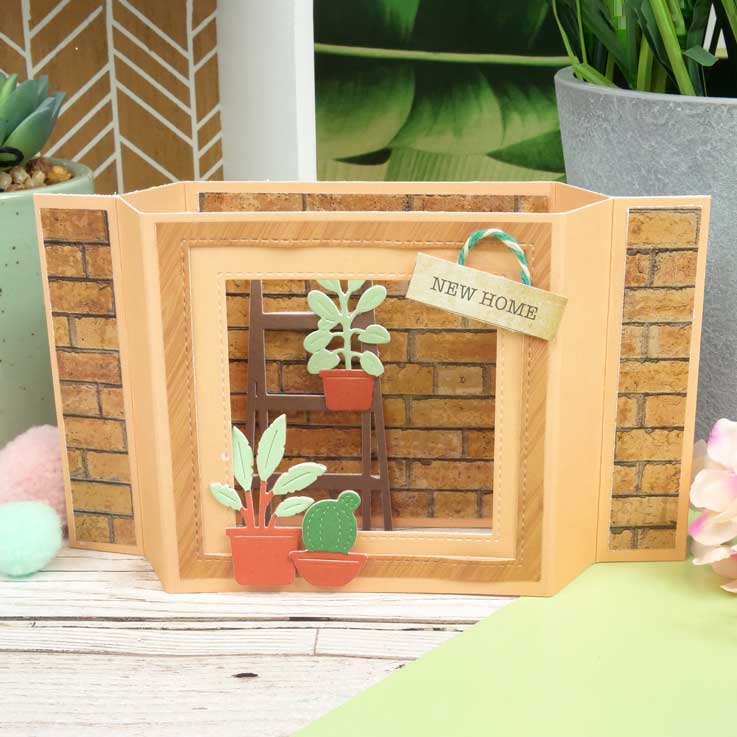 Moonstone Dies - Gorgeous Indoor Garden-7