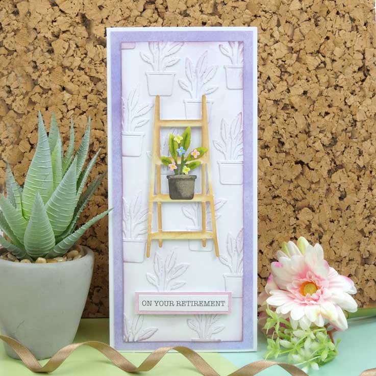 Moonstone Dies - Gorgeous Indoor Garden-8