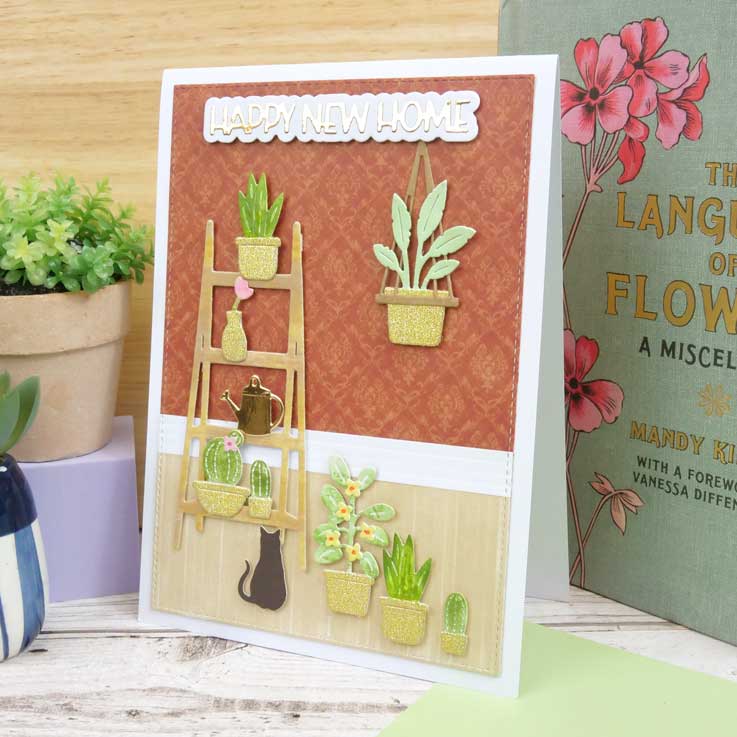 Moonstone Dies - Gorgeous Indoor Garden-9