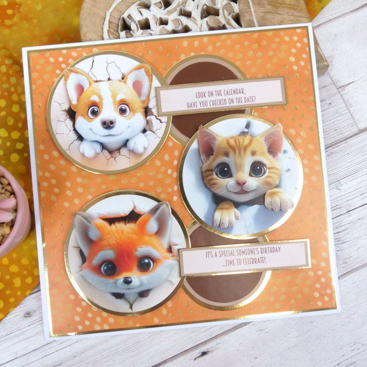 Peeping Pals Pocket Pad-8