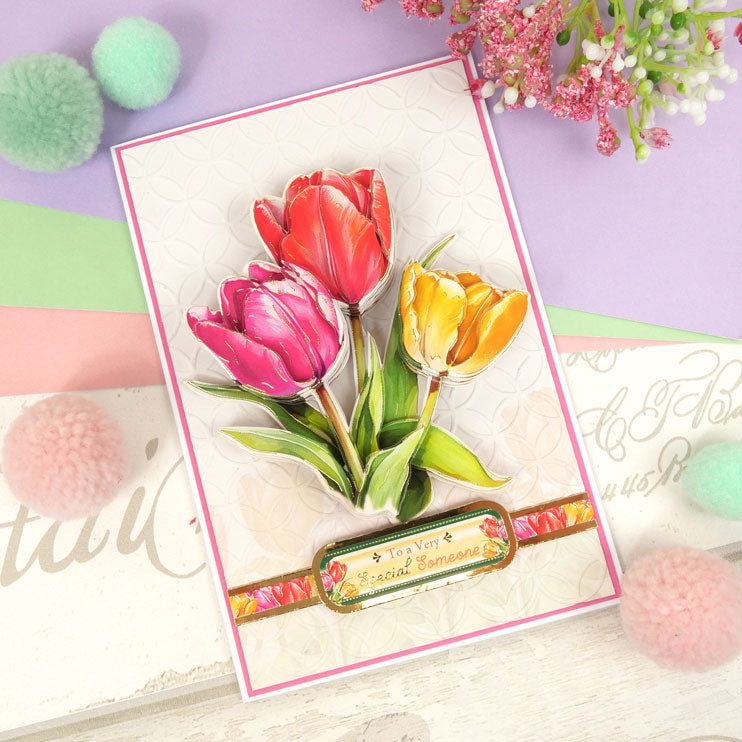Moonstone Embossing Folders - Trellis-7