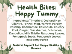 Health Bites: Happy Tummy-1